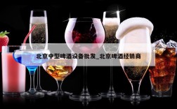 北京中型啤酒设备批发_北京啤酒经销商